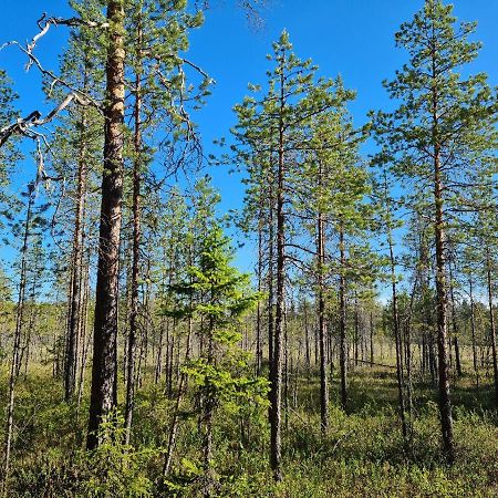 Raate Guest House Suomussalmi Eksteriør billede