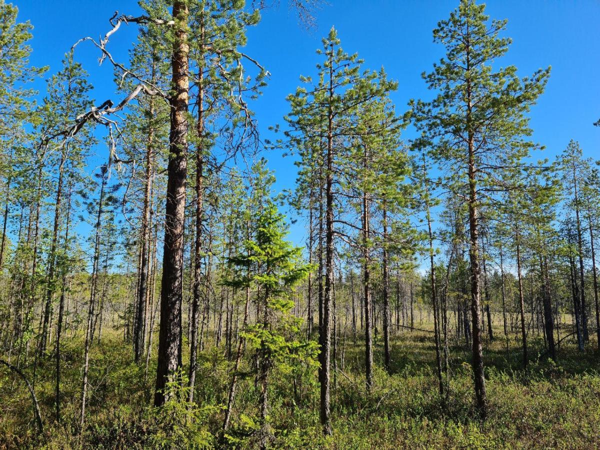 Raate Guest House Suomussalmi Eksteriør billede
