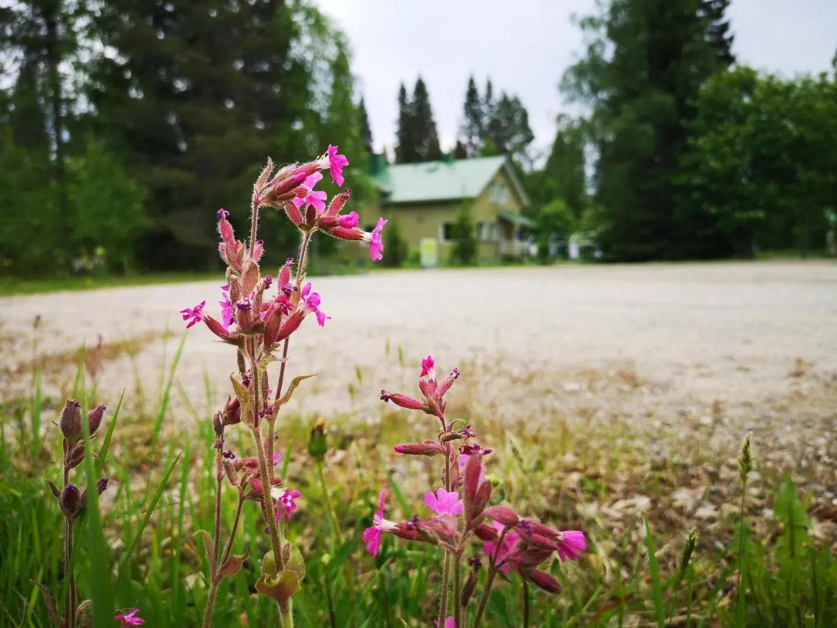 Raate Guest House Suomussalmi Eksteriør billede
